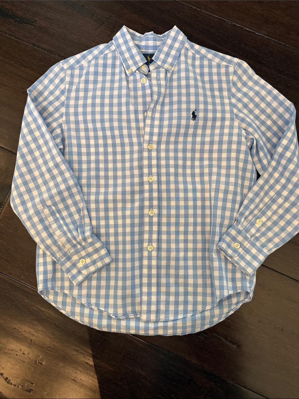 Polo by Ralph Lauren Light Blue and White Checked Button-Down Shirt